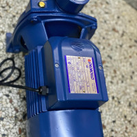 Pedrollo Italy Surface Pump 18m