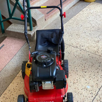Honda GX35 Original Lawn Mower