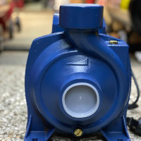 Pedrollo 16m Electric Surface Pump