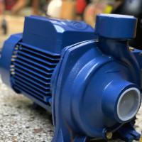 16m Head 1.5KW Pedrollo Italy Surface Pump