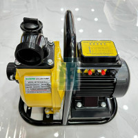 Saneyoo 2inch Solar Pump 750W 15m Head