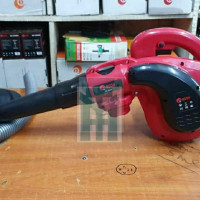 Electric Air Blower with Extension