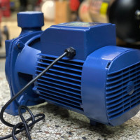 Electric 1.5HP 1KW Pedrollo Surface Water Pump